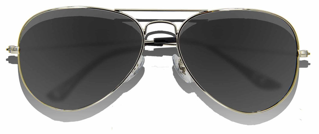 the Bronx Polarized Aviators KZ